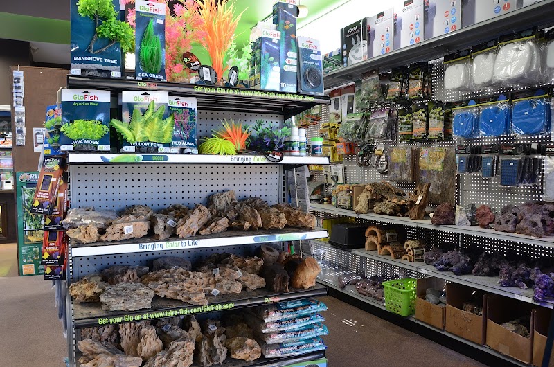 Clarksville Reef & Reptiles - Photo 2