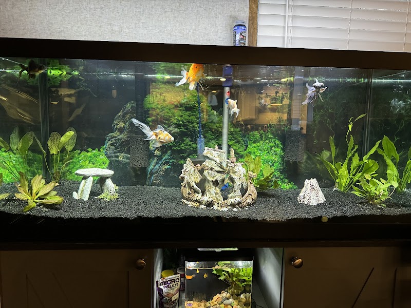 Living Aquariums - Photo 4