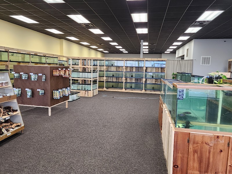 Natural AquariumZ - Photo 2