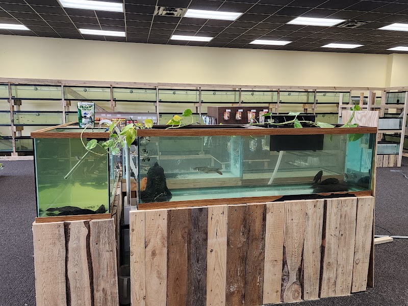 Natural AquariumZ - Photo 4